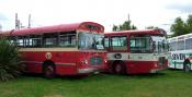 Bristol Buses