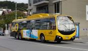Wellington Trolleybus