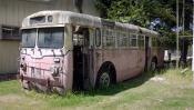 Dunedin Trolleybus