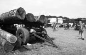 Loading Round Timber