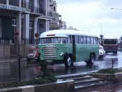 Maltese Bus