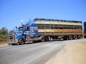 heading north. onto the broome hi-way..w.a.oct.2009.