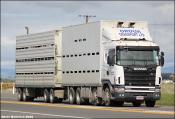 Oroua Transport Scania 164g-580