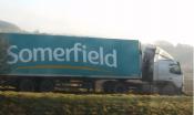 Somerfield