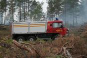 Forest Fire Truck 20 404
