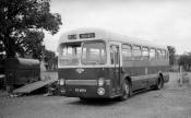 Pz 4874 Leyland Tiger Cub