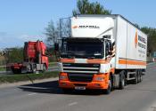 T17 Anp Daf Cf