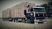 Brown Bros. Contracting's International T-line With Straw Bales