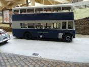 Model Buses (with Drivers)