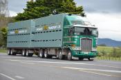 Kenworth,  Progress Transport,  Horotiu