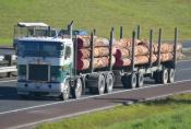 Kenworth,  Rfh Logging  Dairy Flat