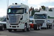 Freightliner & Daf,  Brand New,  Auckland