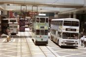 Hong Kong Buses & Trams