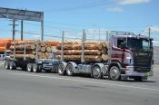 Scania,  Williams & Wilshier,  Rotorua