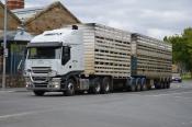Iveco,  Spencer Griggs,  Huonville.