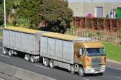 Freightliner,  Regal Haulage,  Manakau City