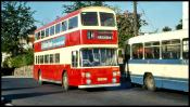 Fleetline On Loan