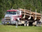 Timber Freightliner