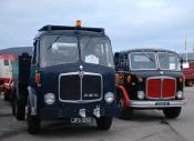 Brace Of Aec's