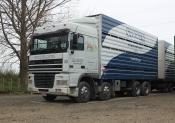 Daf Stockliner