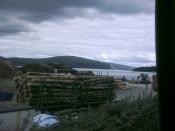 Isle Of Mull.