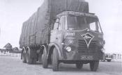 Allisons Dundee