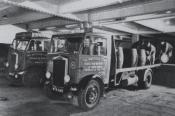 Federation Brewery