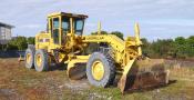 Cat Grader