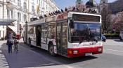 Bird Bus