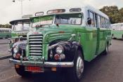 Malta Thames Bus