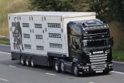 Scania R560 V8 M6 23/08/2021