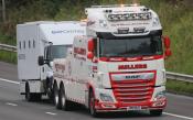 DAF XF M6 07/09/2020.