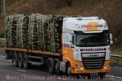 DAF XF M6 06/12/2017.