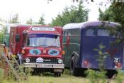 Bedford TK 06/07/2017.