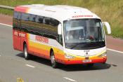 Scania Irizar Coach M6 19/08/2019.