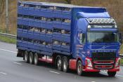Volvo FH500 M6 18/03/2019.