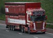 Scania R560 V8 M6 14/04/2011.