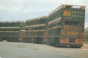 Livestock Transport 2