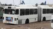 Mercedes Benz O-bahn Buses