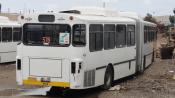 Mercedes Benz O-bahn Buses