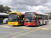 2 Scania Buses