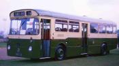 Atkinson Single Decker