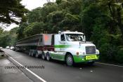 Nzl Bridge Beams
