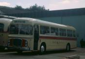 978 WAE  Bristol Greyhound  2132