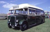 Leyland Tiger