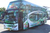 Vip Coach, Surin Thailand