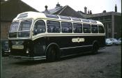 Royal Blue Bristol