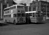 Ulster Bus Leyland