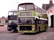 Independent Coachways