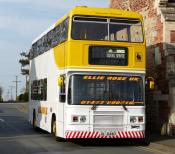 Ellie Rose Leyland Olympian